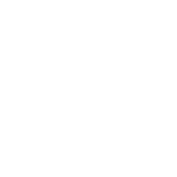 missing-icon
