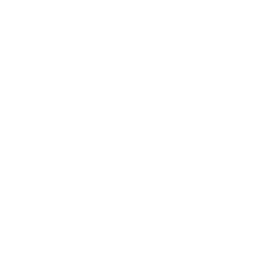 missing-icon